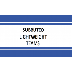 Subbuteo Lightweight Teams